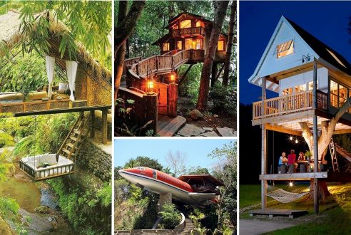 15 Mind-Blowing Treehouses Your Kids Will Beg You To Build